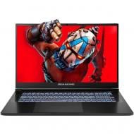 Ноутбук Dream Machines RX5070Ti-17UA21 17,3" (RX5070Ti-17UA21) black