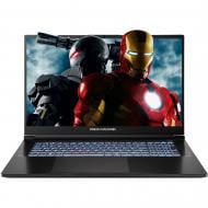 Ноутбук Dream Machines RG5060-17UA20 17,3" (RG5060-17UA20) black
