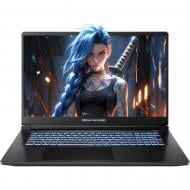 Ноутбук Dream Machines RG5050-17UA33 17,3" (RG5050-17UA33) black Ноутбук Dream Machines RG5050-17UA33 17,3" (RG5050-17UA33) black