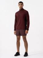 Шорты 4F SHORTS FNK M289 4FAW23TFSHM289-61S р. L красный