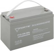 Аккумулятор Forte F12-100G
