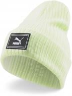 Шапка Puma PRIME WS CUFF TREND BEANIE 2405602 р.one size фисташковый