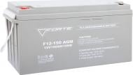 Аккумулятор Forte F12-150