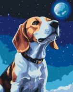 Картина за номерами Місячний бігль 11597-AC 40х50 см ART CRAFT