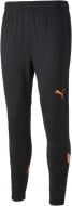 Брюки Puma FCSD Training Pants 76724206 р. 2XL разноцветный