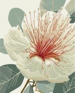 Картина по номерам Цветущий эвкалипт 13155-AC 40х50 см ART CRAFT