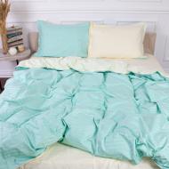 Комплект постельного белья Satin Stripe 30-0014+30-0002 Fleshly 160х220 см мятный/желтый MirSon