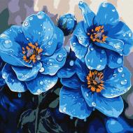 Картина по номерам в ассортименте 30х30 см см Ideyka