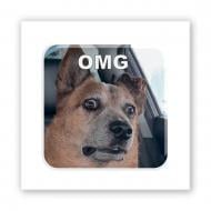 Стикер 3D Tattooshka 3D-стикер "Пес OMG" Стикер 3D Tattooshka 3D-стикер "Пес OMG"