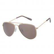 Очки солнцезащитные Dudes and Dudettes 23009с1 DD золото