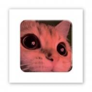 Стикер 3D Tattooshka 3D-стикер "Kitty Love"