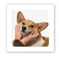 Стикер 3D Tattooshka 3D-стікер "Счастливый корги"