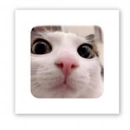 Стикер 3D Tattooshka "Я все вижу" Стикер 3D Tattooshka "Я все вижу"