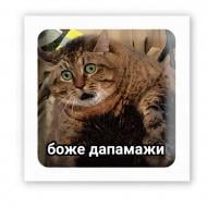 Стикер 3D Tattooshka "Боже дапамажи"
