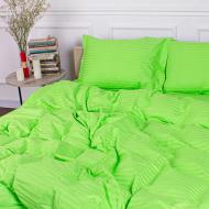 Комплект постельного белья Satin Stripe 30-0016 Light Green 160х220 см салатовый MirSon