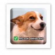 Стикер 3D Tattooshka "Мозг вынесено"