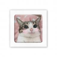 Стикер 3D Tattooshka "Мэм милый котик"