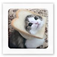 Стикер 3D Tattooshka "Мэм смешной кот" Стикер 3D Tattooshka "Мэм смешной кот"