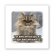 Стикер 3D Tattooshka 3D стикер "Сонный кот" Стикер 3D Tattooshka 3D стикер "Сонный кот"