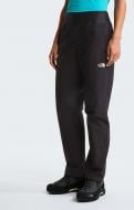 Брюки THE NORTH FACE W LIMESTONE PANT NF0A8G33JK31 р. M черный