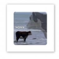 Стикер 3D Tattooshka "Почему?" Стикер 3D Tattooshka "Почему?"