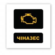 Стикер 3D Tattooshka 3D-стикер "Чиназес"