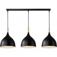 ВИТРИНА! Подвес Hopfen LOFT TN 3 PD 3x40 Вт E27 черный