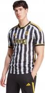 Футболка Adidas JUVE H JSY HR8256 р.S разноцветный