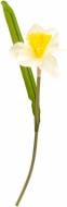 Растение искусственное Нарцисс 1854 CRY