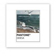 Стикер 3D Tattooshka 3D-стикер "Pantone Odesa" Стикер 3D Tattooshka 3D-стикер "Pantone Odesa"