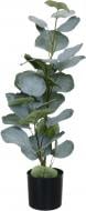 Дерево искусственное Эвкалипт в пластиковом горшке 36 см зеленый Sensio
