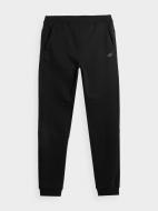 Штани 4F TROUSERS CAS M447 4FAW23TTROM447-20S р. XL чорний
