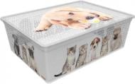 Контейнер для хранения Qutu LIGHT BOX с/к CATS AND DOGS 25л. серый 170x520x370 мм