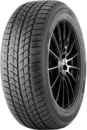 Шина DoubleStar WINTERKING DW09 TL 235/55 R20 102 H зима