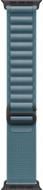 Ремінець Apple 49 мм Alpine Loop Large Black Titanium Finish light blue (MG9M4ZM/A)