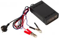 Пускозарядное устройство KING (12V,48W), Днепр 1М (2515)