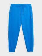 Брюки 4F TROUSERS CAS M453 4FAW23TTROM453-33S р. XL голубой