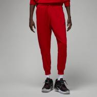 Брюки Nike DF SPRT CSVR FLC PANT DQ7332-687 р. L красный