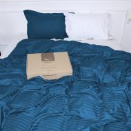 Комплект постельного белья Satin Stripe 30-0019+30-0001 Fatima 2х160х220 см синий/белый MirSon