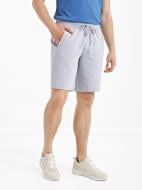 Шорти Роза 2002421 р. 3XL сірий меланж