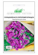 Семена Професійне насіння статица Пурпурный аттракцион 0,1 г