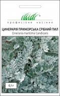 Насіння Професійне насіння цинерарія приморська Срібний пил 0,1 г