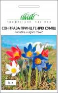 Насіння Професійне насіння сон-трава Принц Генріх суміш 0,1 г