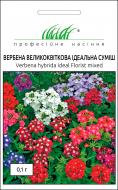 Семена Професійне насіння вербена Идеальная смесь 0,1 г