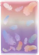 Папка на молнии А4+ Colourful Feather 02 1807-92-a Axent