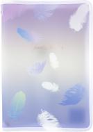 Папка на молнии А4+ Colourful Feather 03 1807-93-a Axent