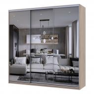 Шкаф-купе Сити Лайт Doros ДСПзеркало 2,25 м 2250x600x2250 мм дуб сонома двери зеркало