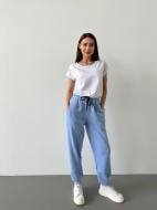 Брюки German Volf 24054 р. XL голубой