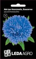 Насіння LedaAgro айстра хризантемоподібна Аполлонія блакитна 0,2 г (4820119791707)