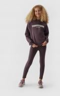 Джемпер 4F SWEATSHIRT F639 4FJAW23TSWSF639-50S фиолетовый
